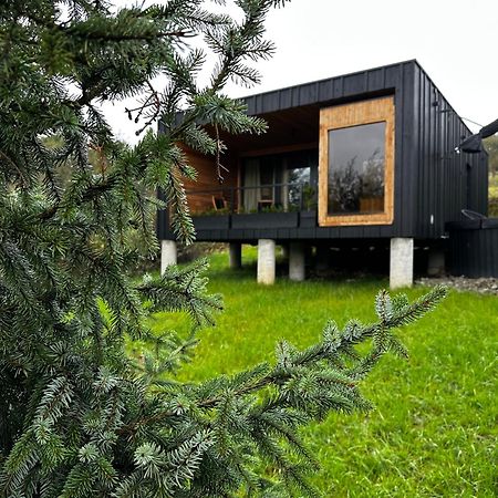 Brown Deer - Z Sauna Na Tarasie, Jacuzzi I Widokiem Na Gory - By Deer Hills Luxury Apartments Kocon Dış mekan fotoğraf